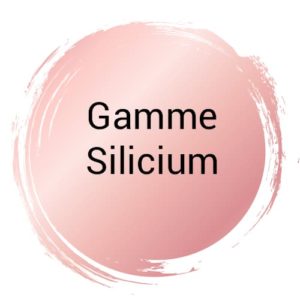 Gamme Silicium